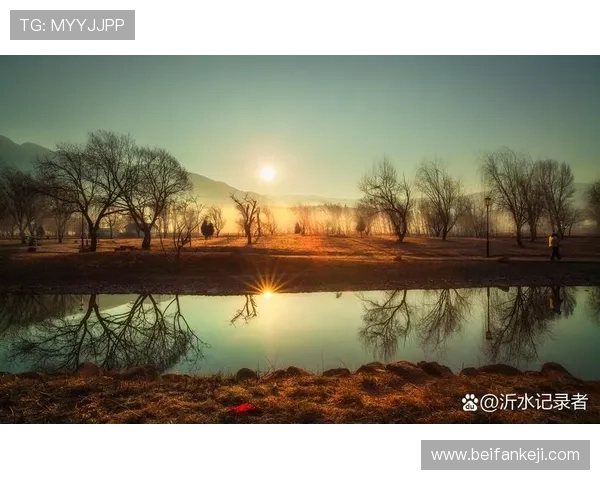 《几度夕阳红》:回首岁月,温柔了时光,惊艳了流年