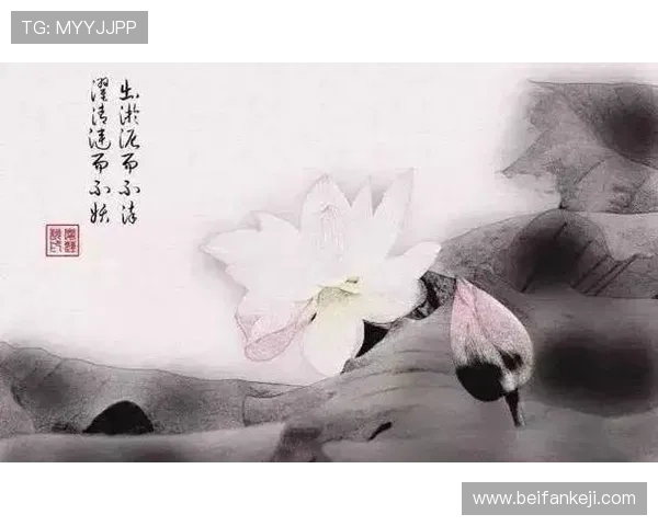 《苏东坡》：一场穿越千年的风雅颂，文人风骨与人生况味