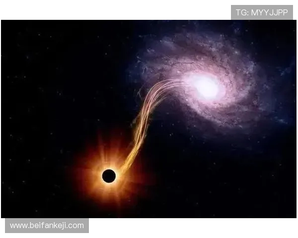 《黑洞》：当悬疑剧的“黑洞”吞噬一切，你敢不敢跳？